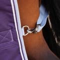 Miniatyrbilde 2 av 2: Highlander Original 100 Standard-Neck 100g Horse Turnout Rug
