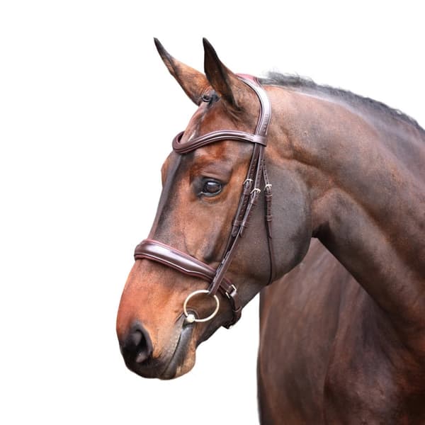Velociti Lusso Elite Leather Padded Horse Cavesson Bridle