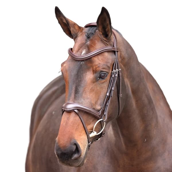 Velociti Lusso Elite Leather Horse Flash Bridle