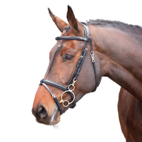 Velociti Rapida Leather Training Horse Bridle