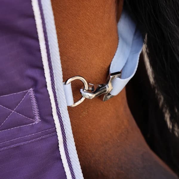 Highlander Original 100 Standard-Neck 100g Horse Turnout Rug