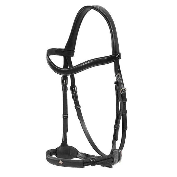 Dyon Bettlöst Träns Working Collection  Pony
