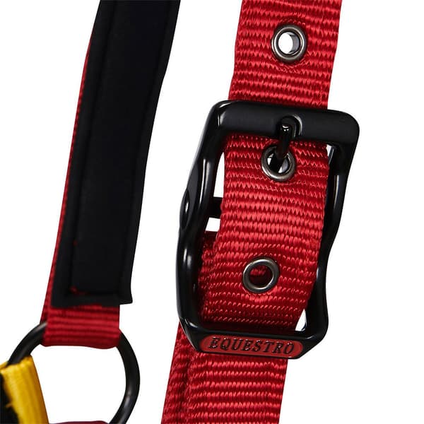 Equestro Riimu Ja Lyijy Ca00512  Full
