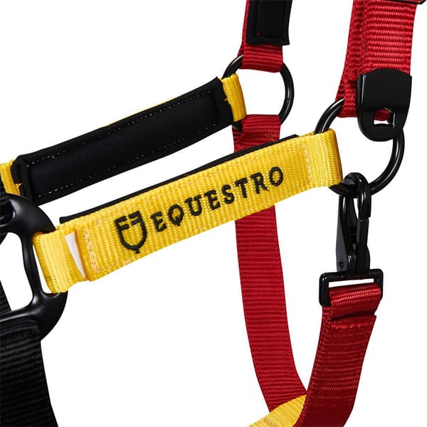 Equestro Riimu Ja Lyijy Ca00512  Full