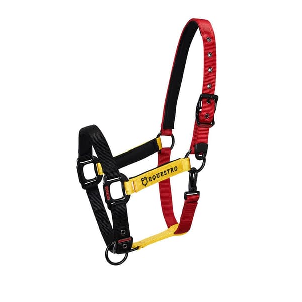 Equestro Grimma&bly Ca00512  Full