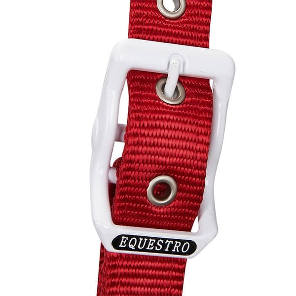 Equestro Grime&bly Ca00512  Pony
