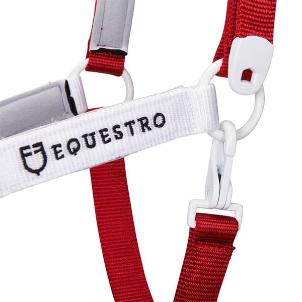 Equestro Grime&bly Ca00512  Full