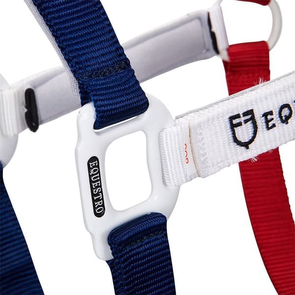 Equestro Grimma&bly Ca00512  Pony