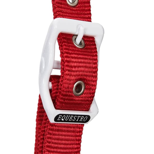 Equestro Grimma&bly Ca00512  Pony