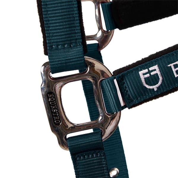 Equestro Riimu & Lyijy Shiny Fittings  Full