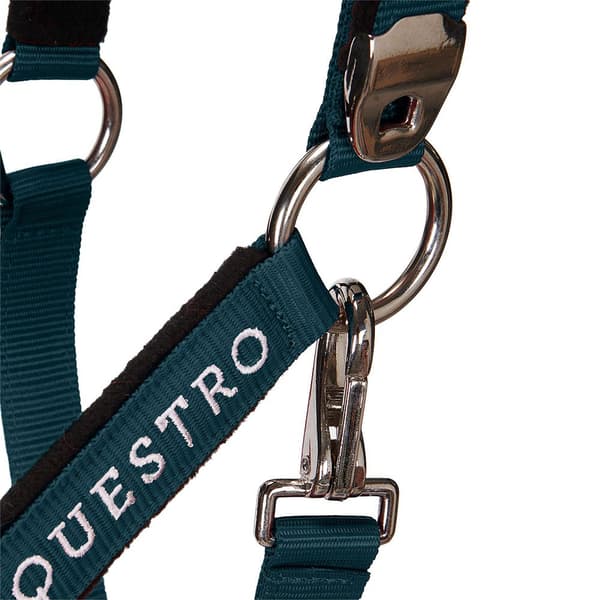 Equestro Riimu & Lyijy Shiny Fittings  Full