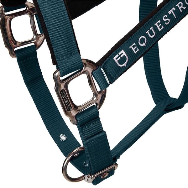Equestro Riimu & Lyijy Shiny Fittings  Full