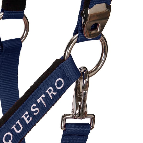 Equestro Riimu & Lyijy Shiny Fittings  Full