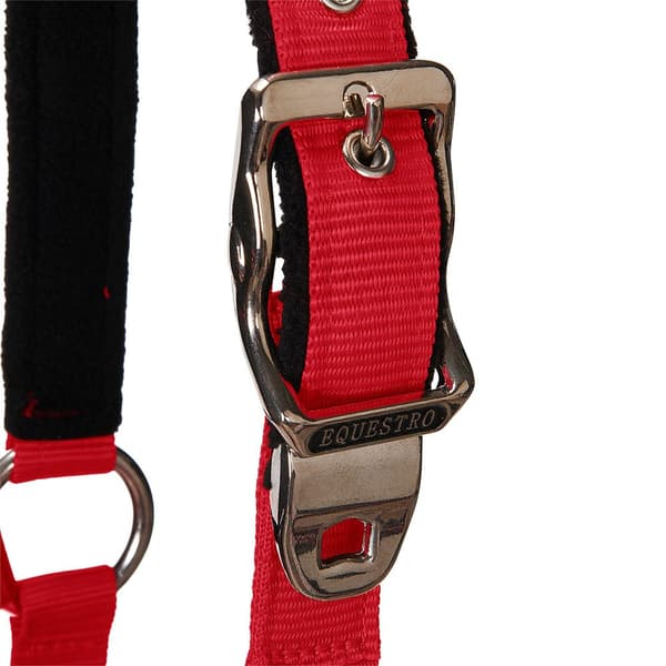 Equestro Grime&bly Shiny Fittings  Full