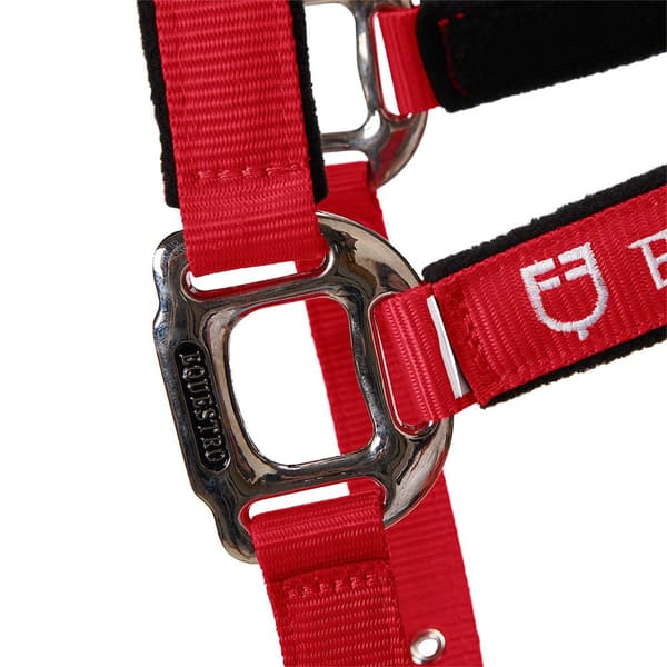 Equestro Grime&bly Shiny Fittings  Full