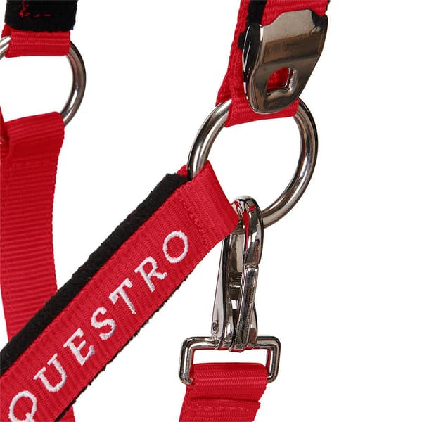 Equestro Grime&bly Shiny Fittings  Full