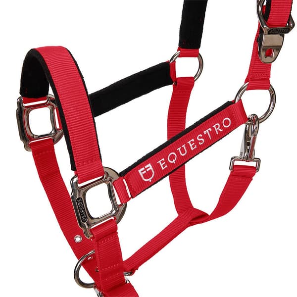 Equestro Grime&bly Shiny Fittings  Full