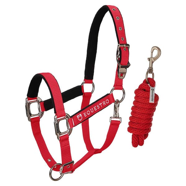 Equestro Grime&bly Shiny Fittings  Full