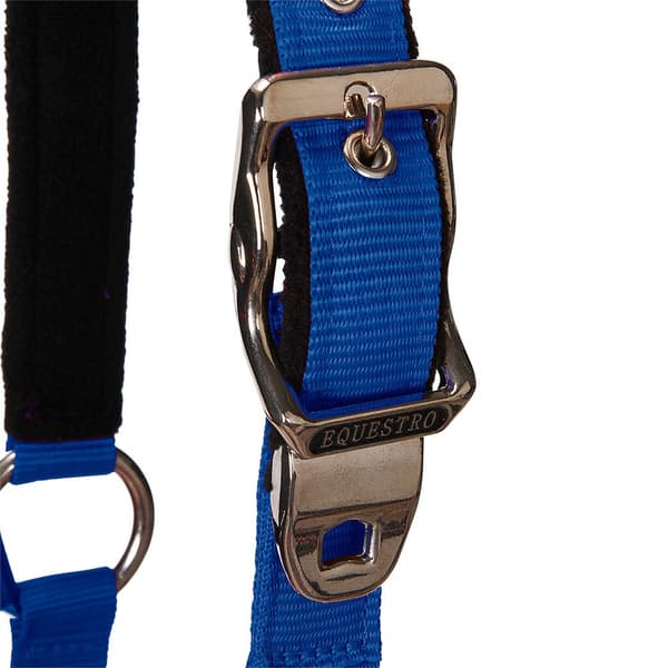 Equestro Grimma&bly Shiny Fittings  Full