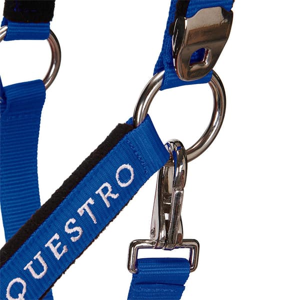 Equestro Grimma&bly Shiny Fittings  Full