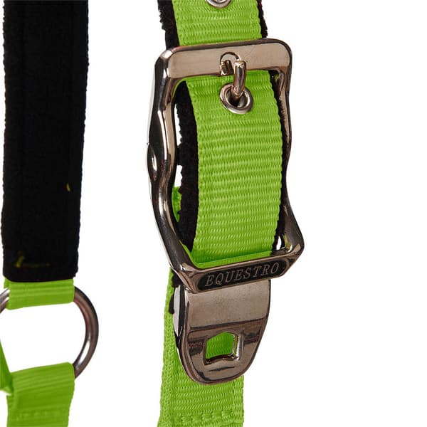 Equestro Grime&bly Shiny Fittings  Cob