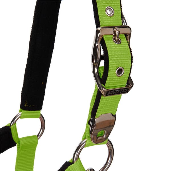 Equestro Grime&bly Shiny Fittings  Cob