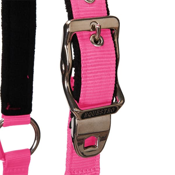 Equestro Grime&bly Shiny Fittings  Full