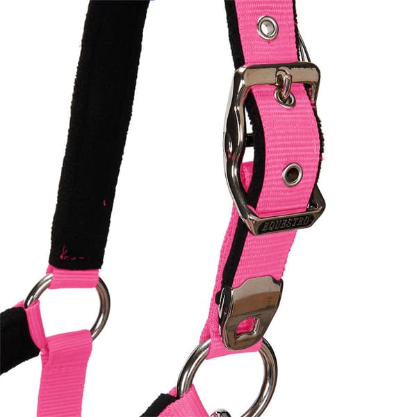 Equestro Grime&bly Shiny Fittings  Full