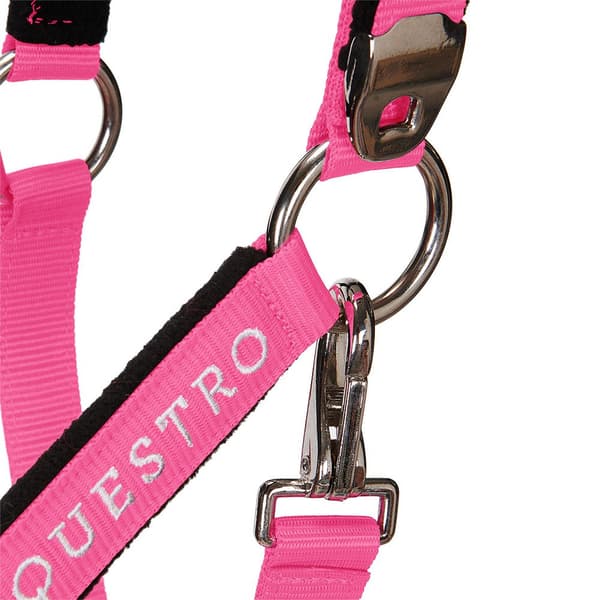 Equestro Grime&bly Shiny Fittings  Full