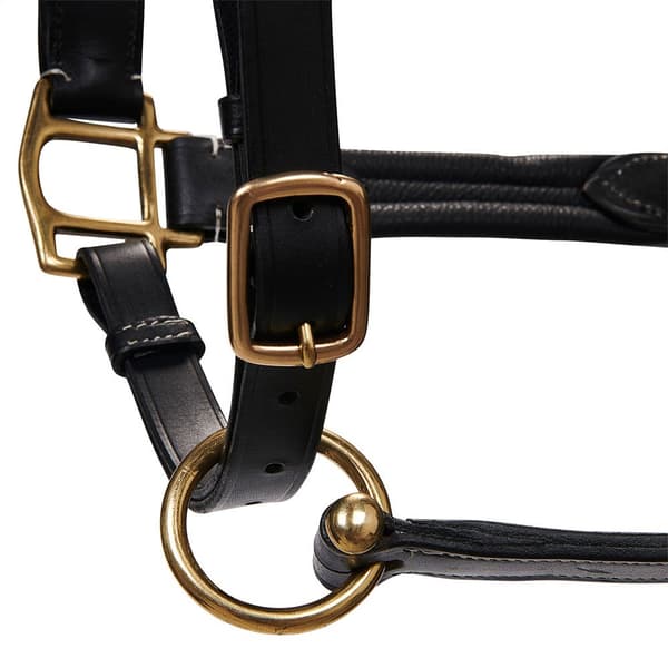 Equestro Grime Superior Leather  Cob