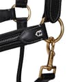 Miniatyrbillede 4 af 5: Equestro Grime Superior Leather  Cob
