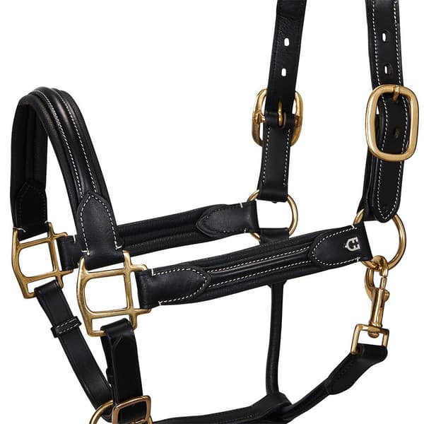 Equestro Grime Superior Leather  Cob