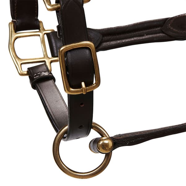 Equestro Grime Superior Leather  Pony