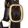 Miniatyrbillede 4 af 5: Equestro Grime Superior Leather  Pony