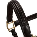 Miniatyrbillede 5 af 5: Equestro Grime Superior Leather  Pony