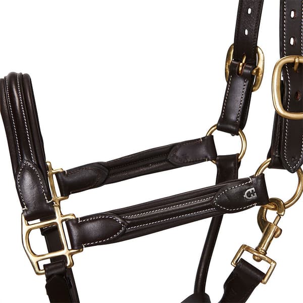 Equestro Grime Superior Leather  Pony