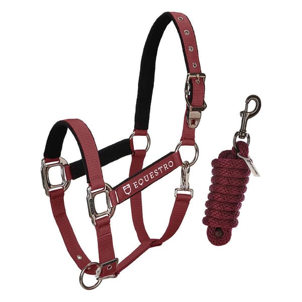 Equestro Grime&bly Shiny Fittings Pony