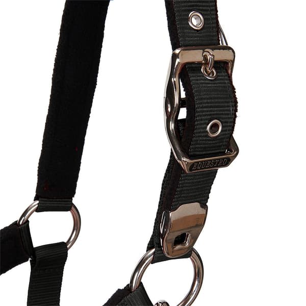 Equestro Riimu & Lyijy Shiny Fittings  Pony