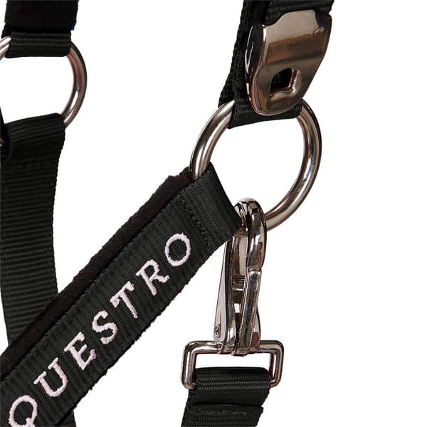 Equestro Riimu & Lyijy Shiny Fittings  Pony