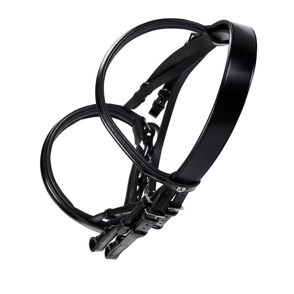 Equestro Grime Briglia Dressage  Full