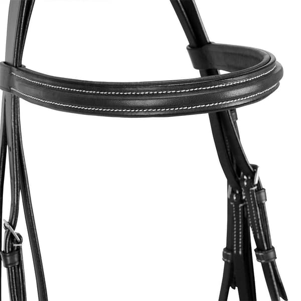 Equestro Grime Silver Pony