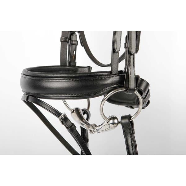 Harry´s Horse Allegro Tygel  Full