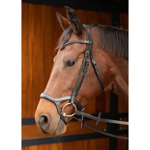 Harry´s Horse Anatomic Tøjle  Cob
