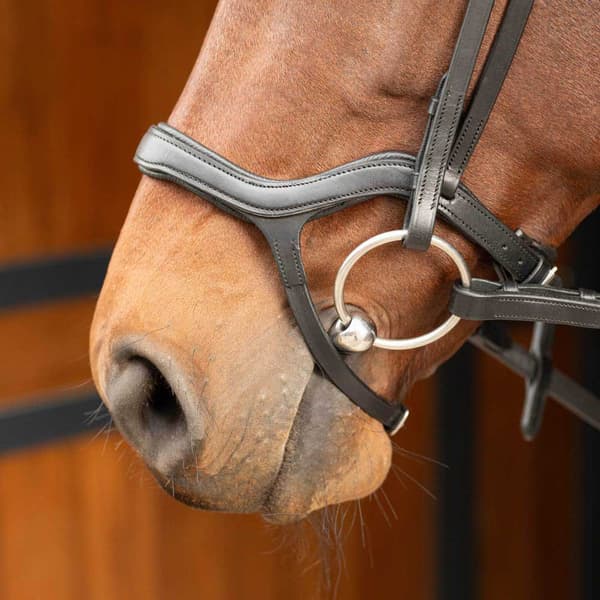 Harry´s Horse Anatomic Tøjle  Cob