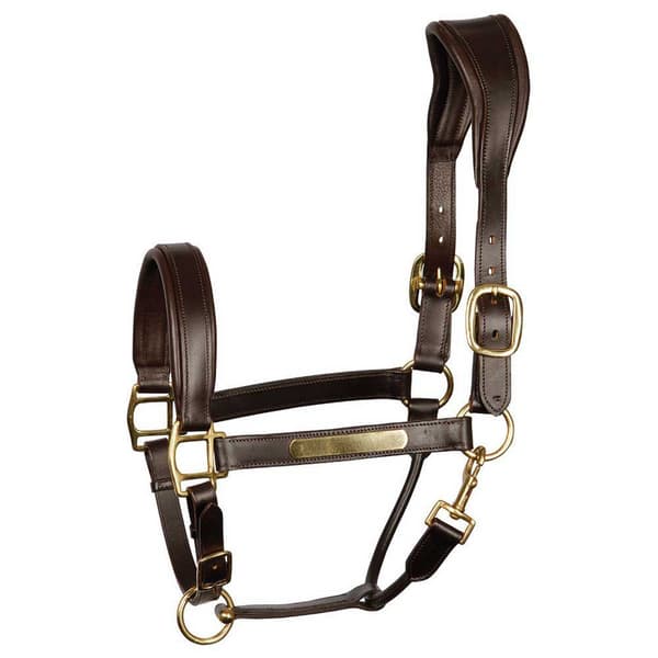 Harry´s Horse Anatomic Lædergrime  Cob