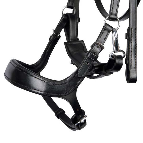 Harry´s Horse Anatomic Release Suitset  Full