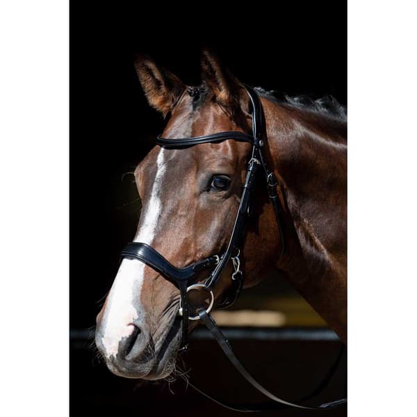 Harry´s Horse Anatomic Release Suitset  Full