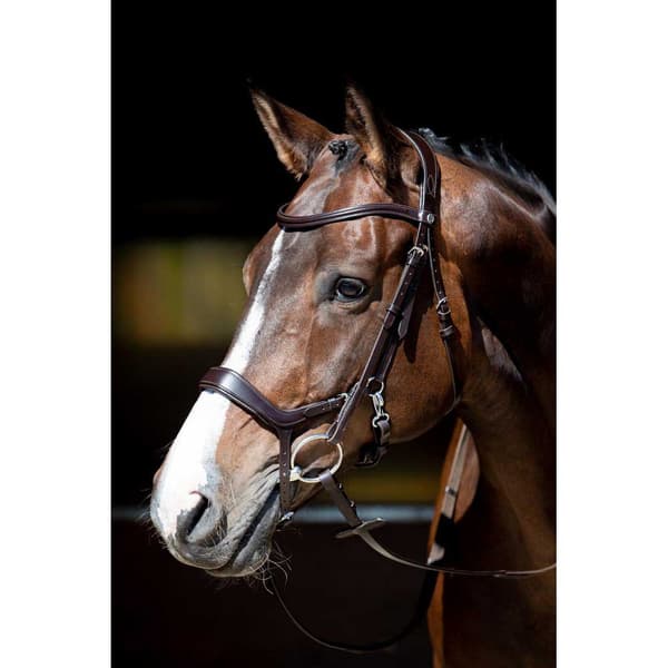 Harry´s Horse Anatomic Release Tøjle  Full