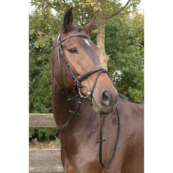 Harry´s Horse Bronze Suitset  Full