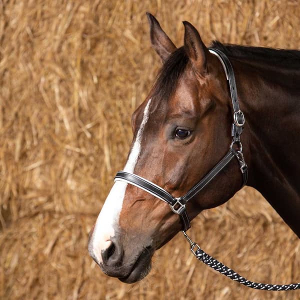 Harry´s Horse Elegance Lædergrime  Cob